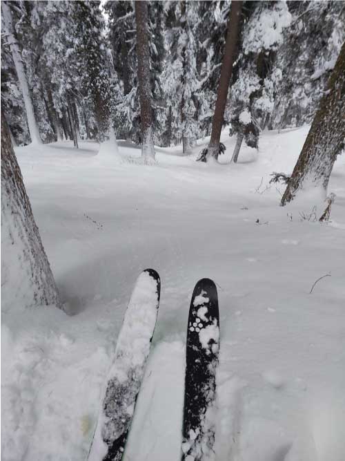 Lyall skiing Babarishi