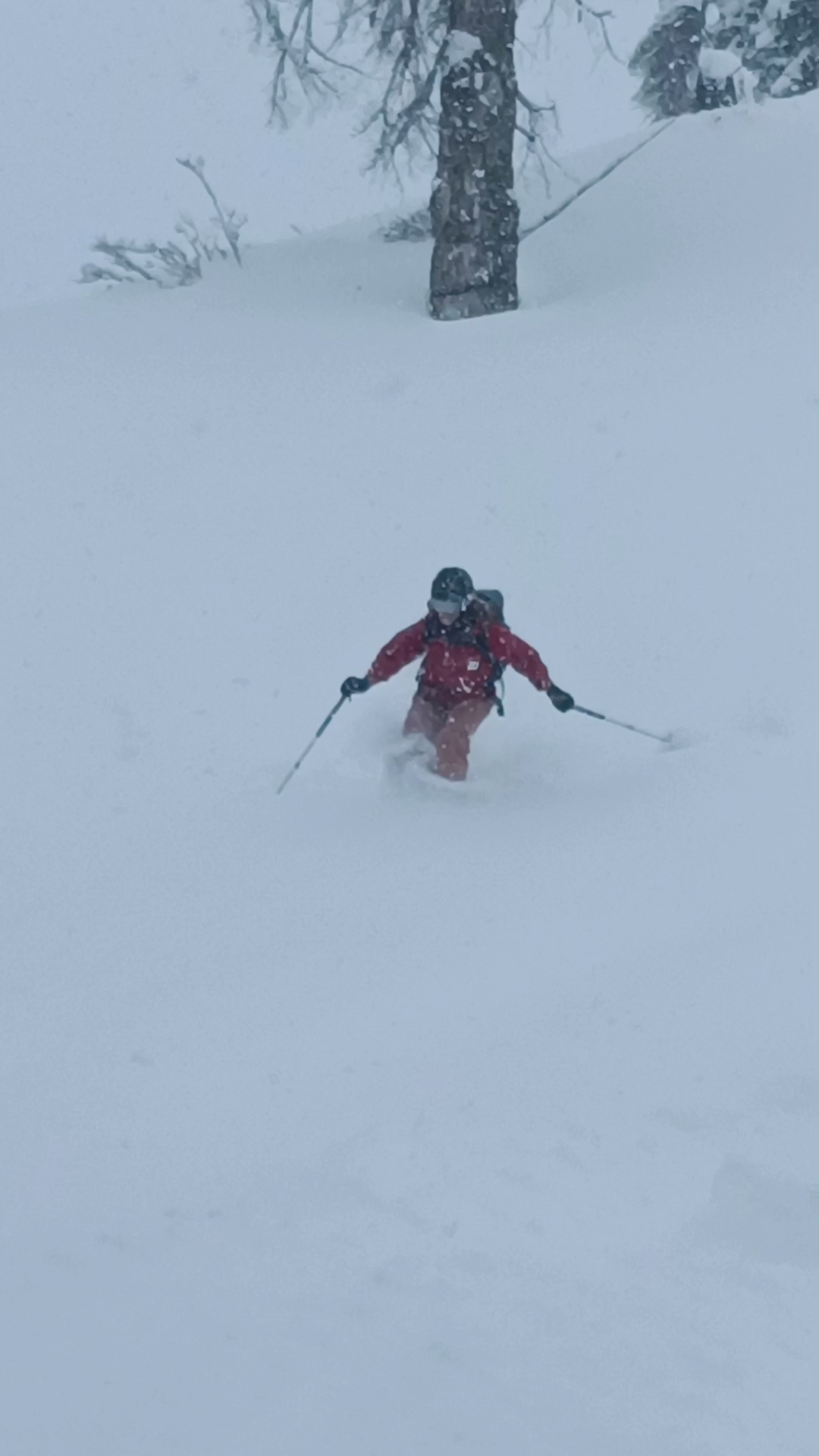 Ski Gulmarg