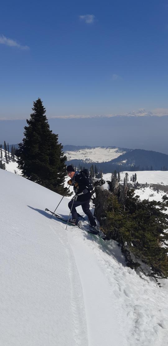 Tree Skiing