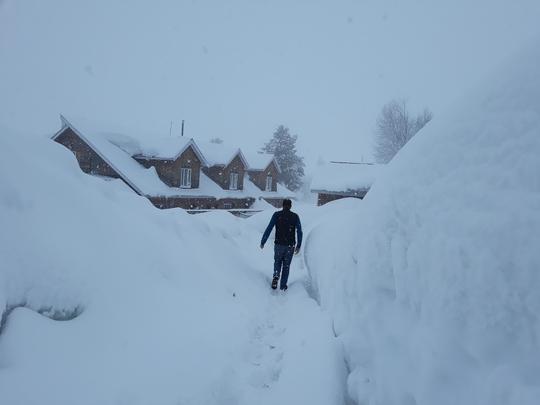 Powder snow