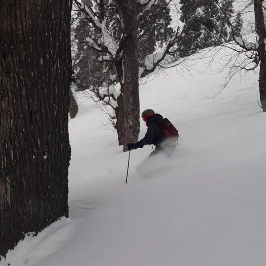 Powder Skiing